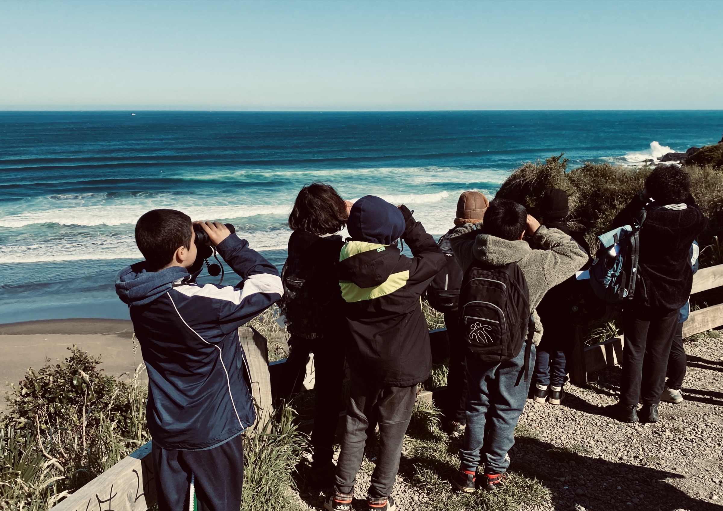 Students observing the coast during a field-based learning experience